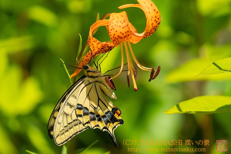 ../Images/7R250721 (86).jpg